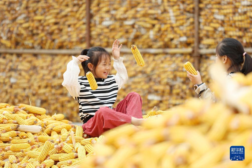 网页炸金花链接